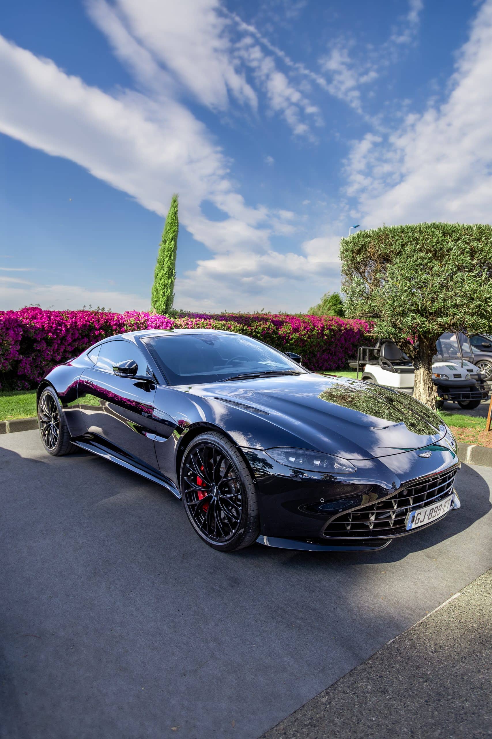 A dark grand tourer photographed outdoors against palms and bright sky.
