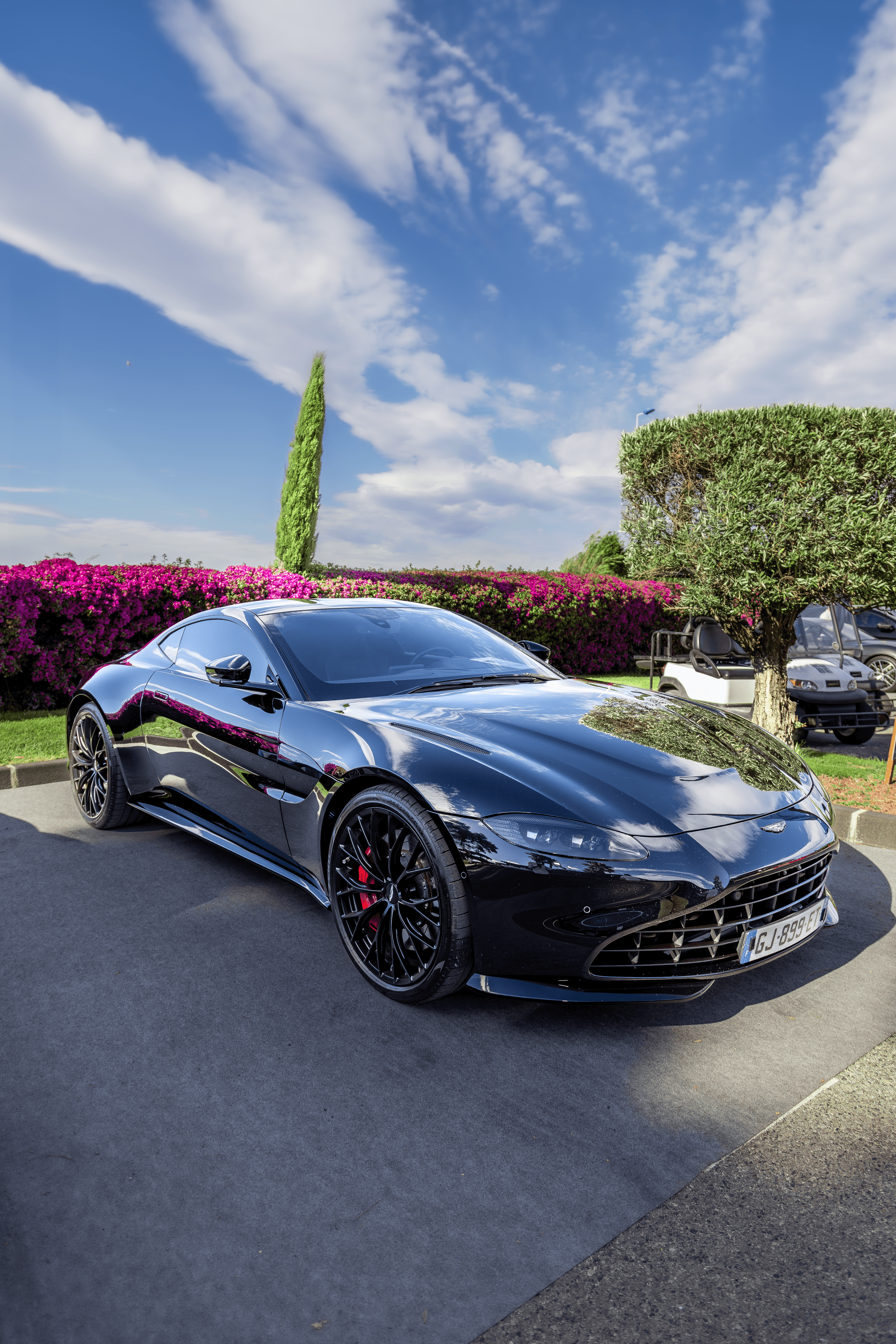 A dark grand tourer photographed outdoors against palms and bright sky.