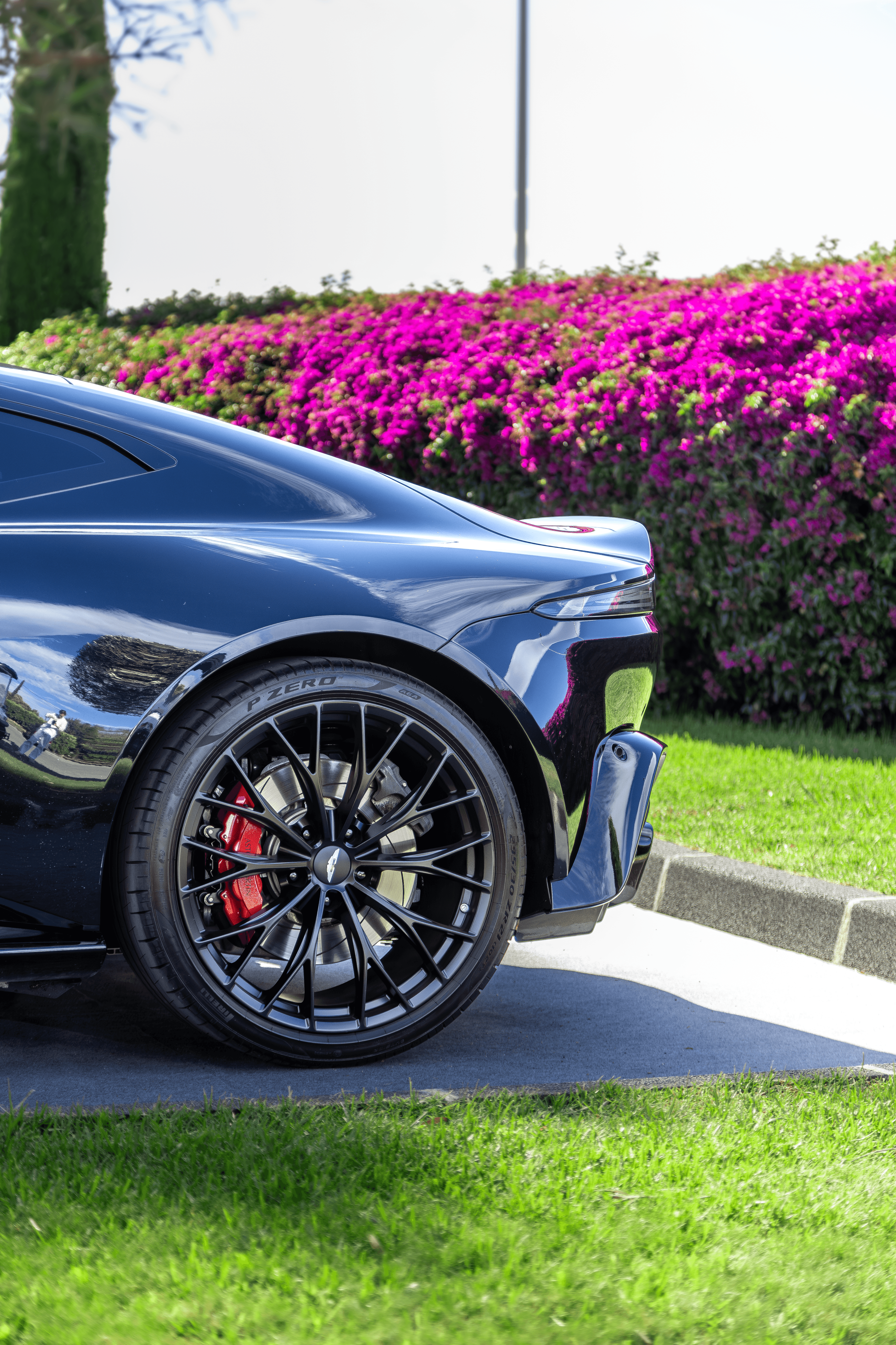 A close wheel and fender study photographed beside vivid floral planting.